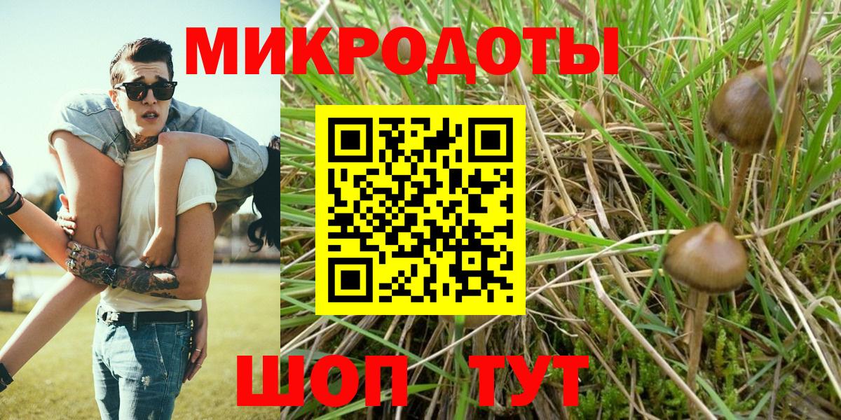 Псилоцибиновые грибы Psilocybine cubensis Шарыпово