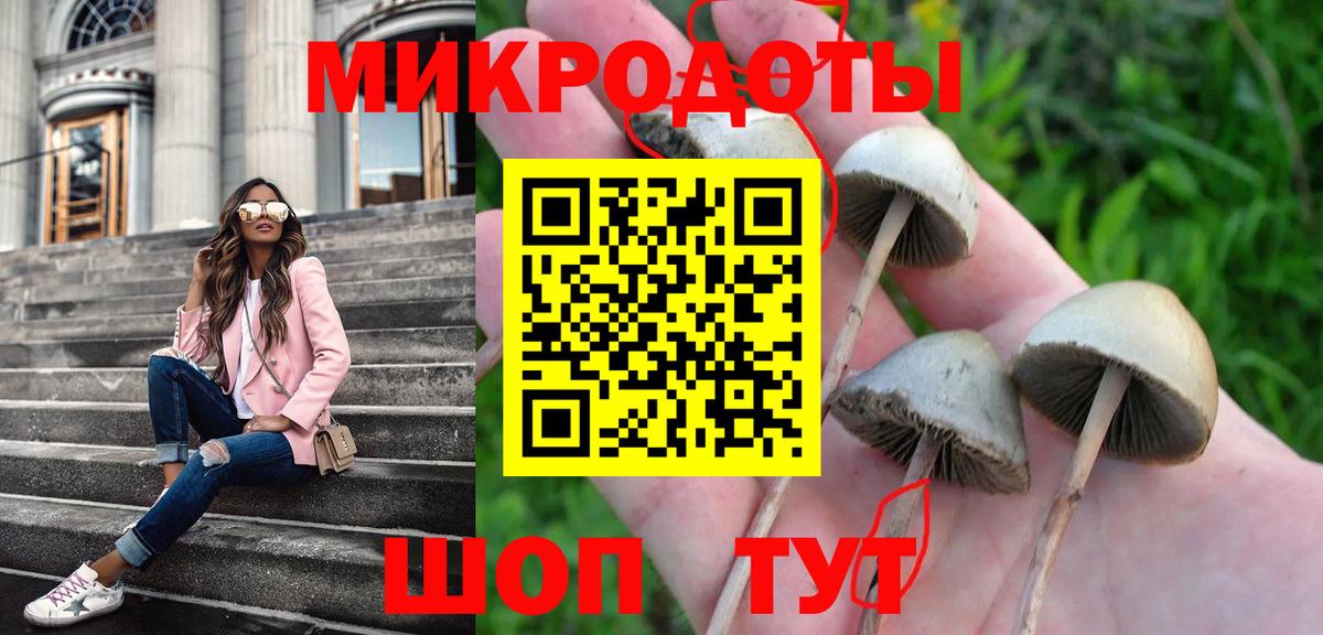Псилоцибиновые грибы мицелий  Псилоцибиновые грибы GOLDEN TEACHER  Вход с VPN  Шарыпово 